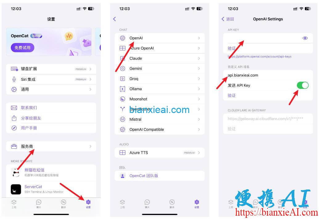 OpenCat设置OpenAI服务商
